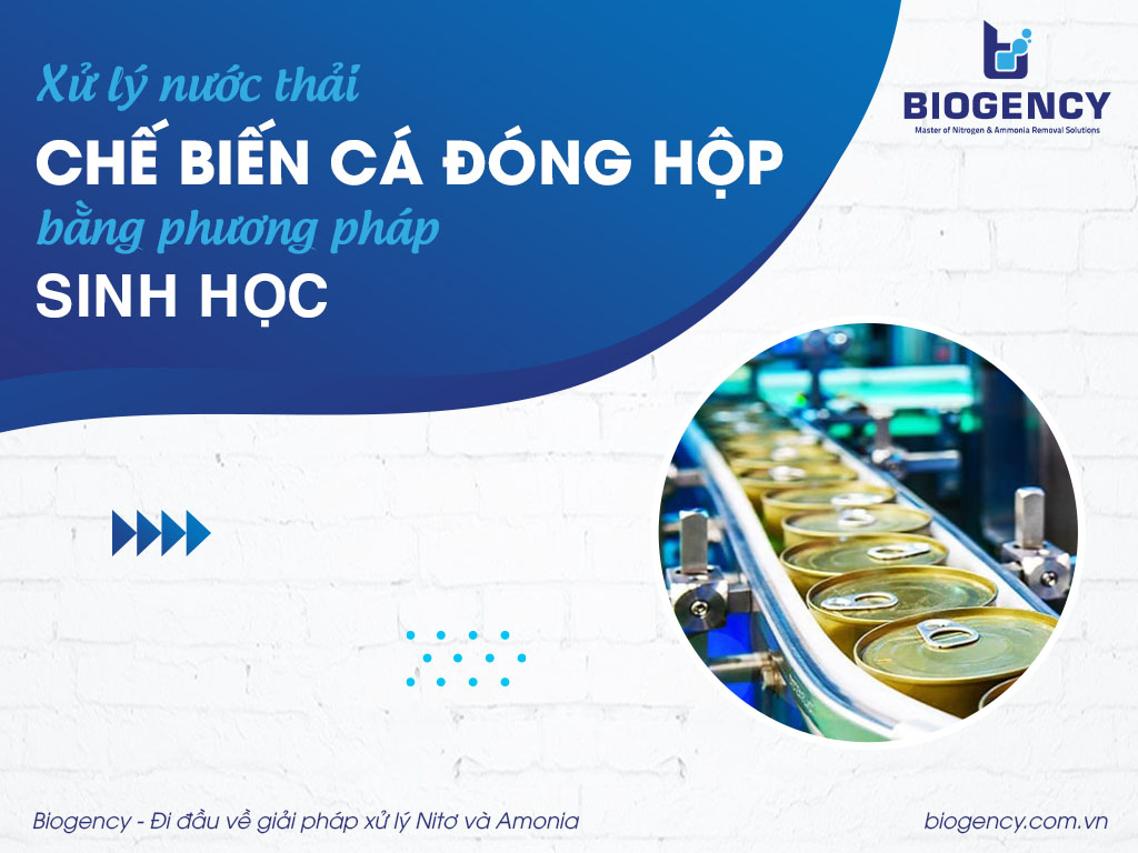Xử lý nước thải chế biến cá đóng hộp bằng phương pháp sinh học