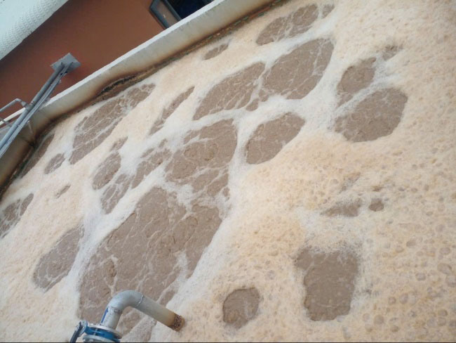 Hiện tượng bùn không lắng trong hệ thống xử lý nước thải thủy sản. Hiện tượng bùn không lắng trong hệ thống xử lý nước thải thủy sản.