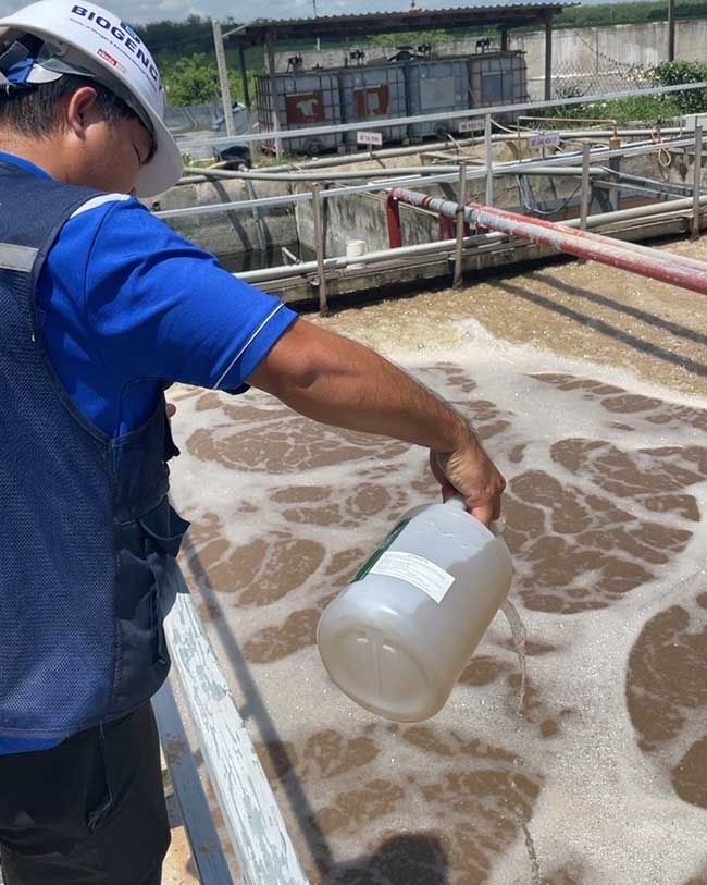 Duy trì vi sinh cho HTXLNT cao su cần thời gian thích nghi ban đầu, nhưng về lâu dài sẽ giúp xử lý tận gốc, ổn định và giảm phụ thuộc vào hóa chất. Duy trì vi sinh cho HTXLNT cao su cần thời gian thích nghi ban đầu, nhưng về lâu dài sẽ giúp xử lý tận gốc, ổn định và giảm phụ thuộc vào hóa chất.