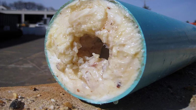 Dầu mỡ tích tụ đông đặc trong đường ống gây tắc nghẽn. Dầu mỡ tích tụ đông đặc trong đường ống gây tắc nghẽn.