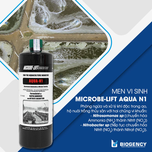 Microbe-Lift AQUA N1 giúp xử lý khí độc ao nuôi tôm nhanh. Microbe-Lift AQUA N1 giúp xử lý khí độc ao nuôi tôm nhanh.