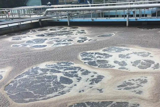 Hiện tượng bọt màu đen xám là do bùn vi sinh trong bể hiểu khí bị mất hoạt tính. Hiện tượng bọt màu đen xám là do bùn vi sinh trong bể hiểu khí bị mất hoạt tính.