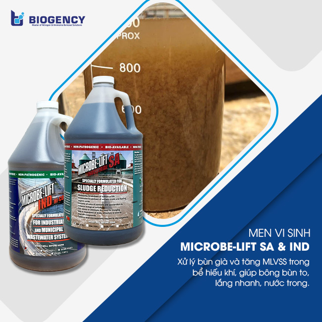 Dùng Microbe-Lift SA để xử lý bùn già và bổ sung Microbe-Lift IND định kỳ hàng tháng để duy trì mật độ cũng như đảm bảo hoạt tính xử lý của hệ vi sinh. Dùng Microbe-Lift SA để xử lý bùn già và bổ sung Microbe-Lift IND định kỳ hàng tháng để duy trì mật độ cũng như đảm bảo hoạt tính xử lý của hệ vi sinh.
