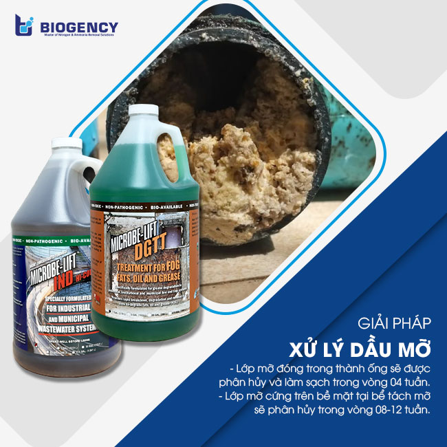 Microbe-Lift DGTT và IND là giải pháp hoàn hảo trong xử lý tắc nghẽn đường ống thoát nước do dầu mỡ. Microbe-Lift DGTT và IND là giải pháp hoàn hảo trong xử lý tắc nghẽn đường ống thoát nước do dầu mỡ.