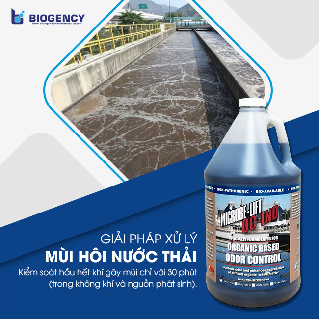 Giải pháp xử lý mùi hôi nước thải. Giải pháp xử lý mùi hôi nước thải.