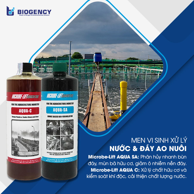 Bổ sung hệ vi sinh để tái tạo môi trường ao nuôi cân bằng. Bổ sung hệ vi sinh để tái tạo môi trường ao nuôi cân bằng.