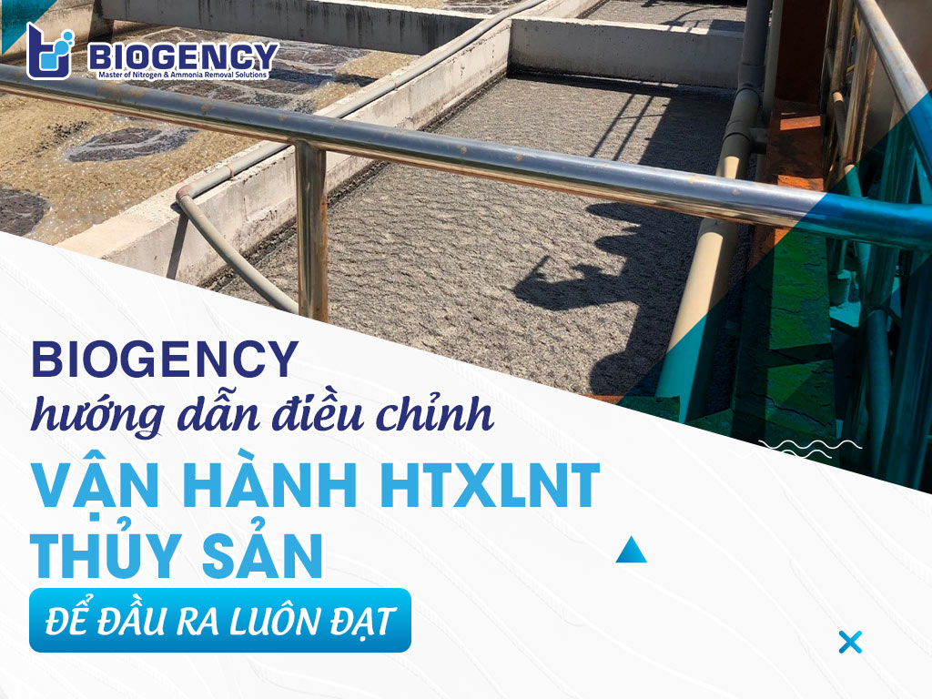 BIOGENCY hướng dẫn điều chỉnh vận hành HTXLNT thủy sản để đầu ra luôn đạt BIOGENCY hướng dẫn điều chỉnh vận hành HTXLNT thủy sản để đầu ra luôn đạt