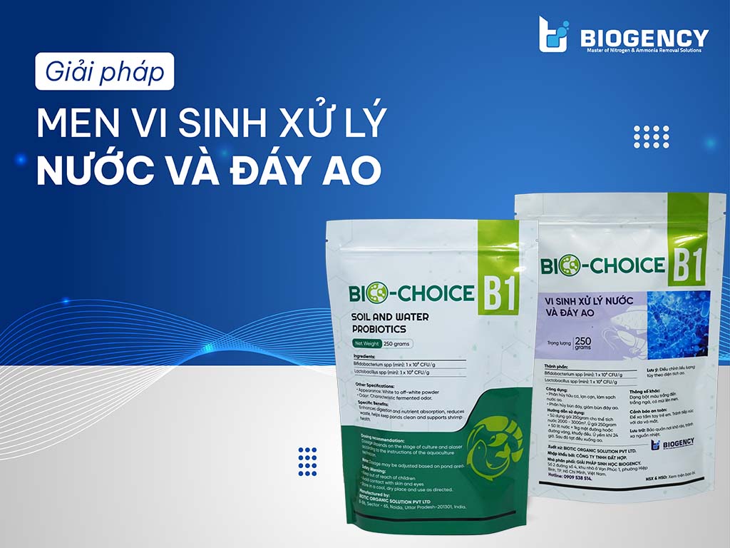 Giải Pháp Men Vi Sinh Xử Lý Nước Và Đáy Ao Giải Pháp Men Vi Sinh Xử Lý Nước Và Đáy Ao