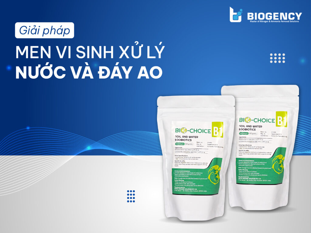 Giải Pháp Men Vi Sinh Xử Lý Nước Và Đáy Ao