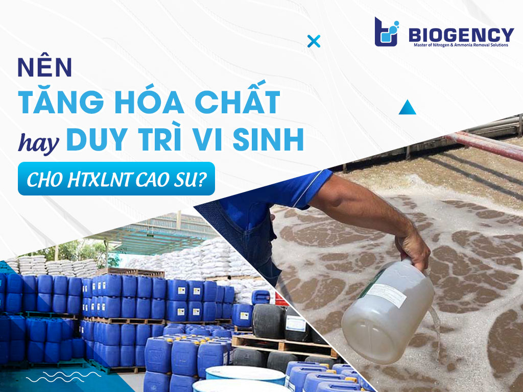 Nên tăng hóa chất hay duy trì vi sinh cho HTXLNT cao su? Nên tăng hóa chất hay duy trì vi sinh cho HTXLNT cao su?