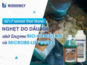 Xử lý nhanh tình trạng nghẹt do dầu mỡ nhờ Enzyme Bio-Choice BA và Microbe-Lift DGTT