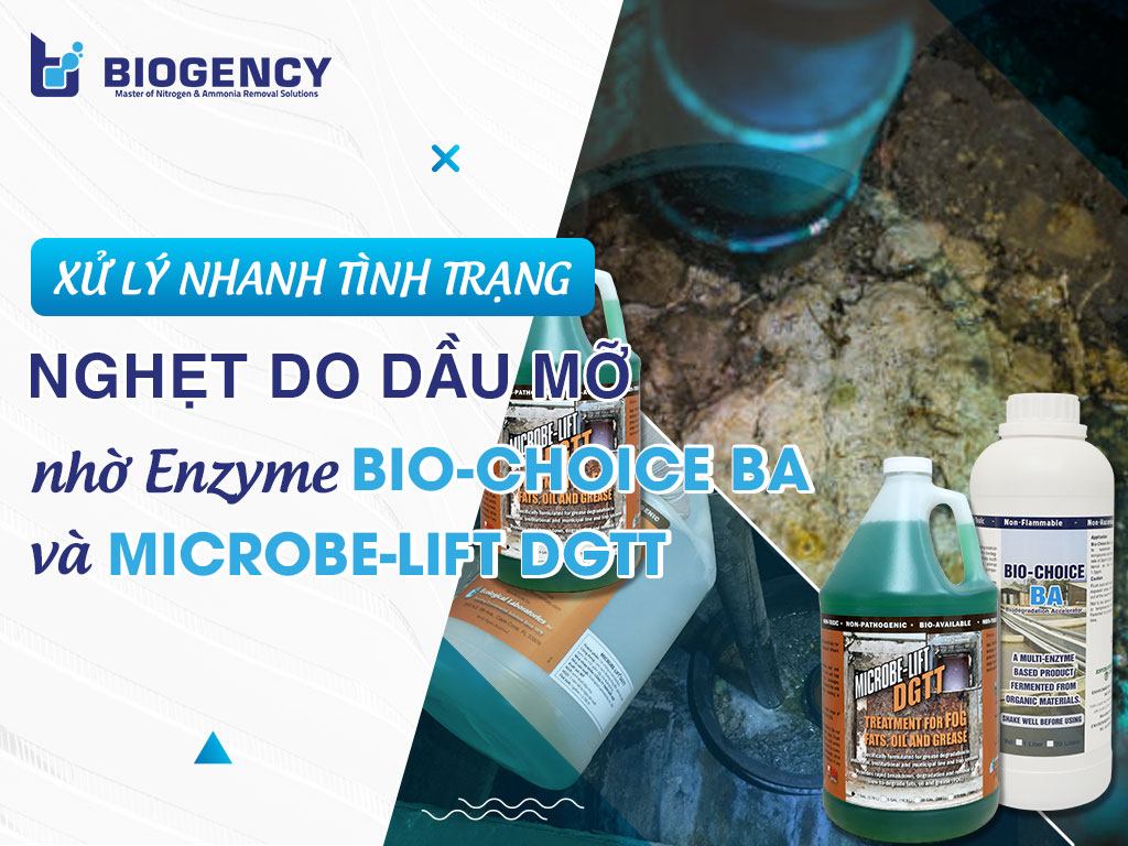 Xử lý nhanh tình trạng nghẹt do dầu mỡ nhờ Enzyme Bio-Choice BA và Microbe-Lift DGTT Xử lý nhanh tình trạng nghẹt do dầu mỡ nhờ Enzyme Bio-Choice BA và Microbe-Lift DGTT