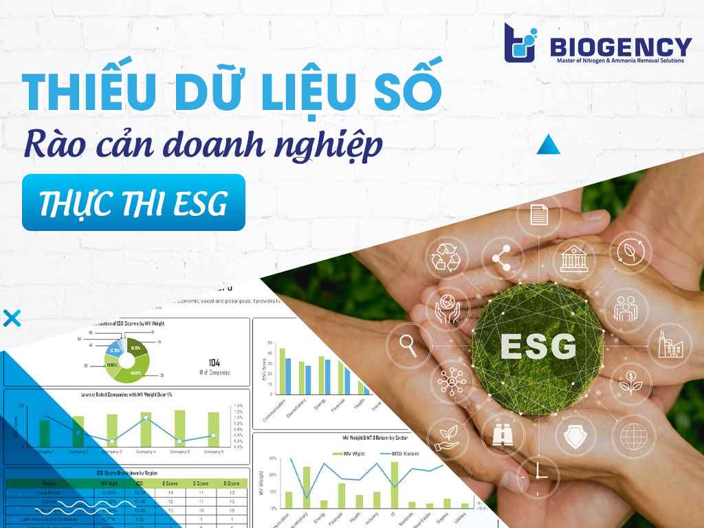 Thiếu dữ liệu số - Rào cản doanh nghiệp thực thi ESG