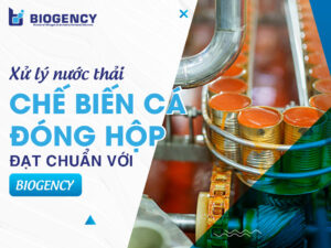 Xử lý nước thải chế biến cá đóng hộp đạt chuẩn với BIOGENCY