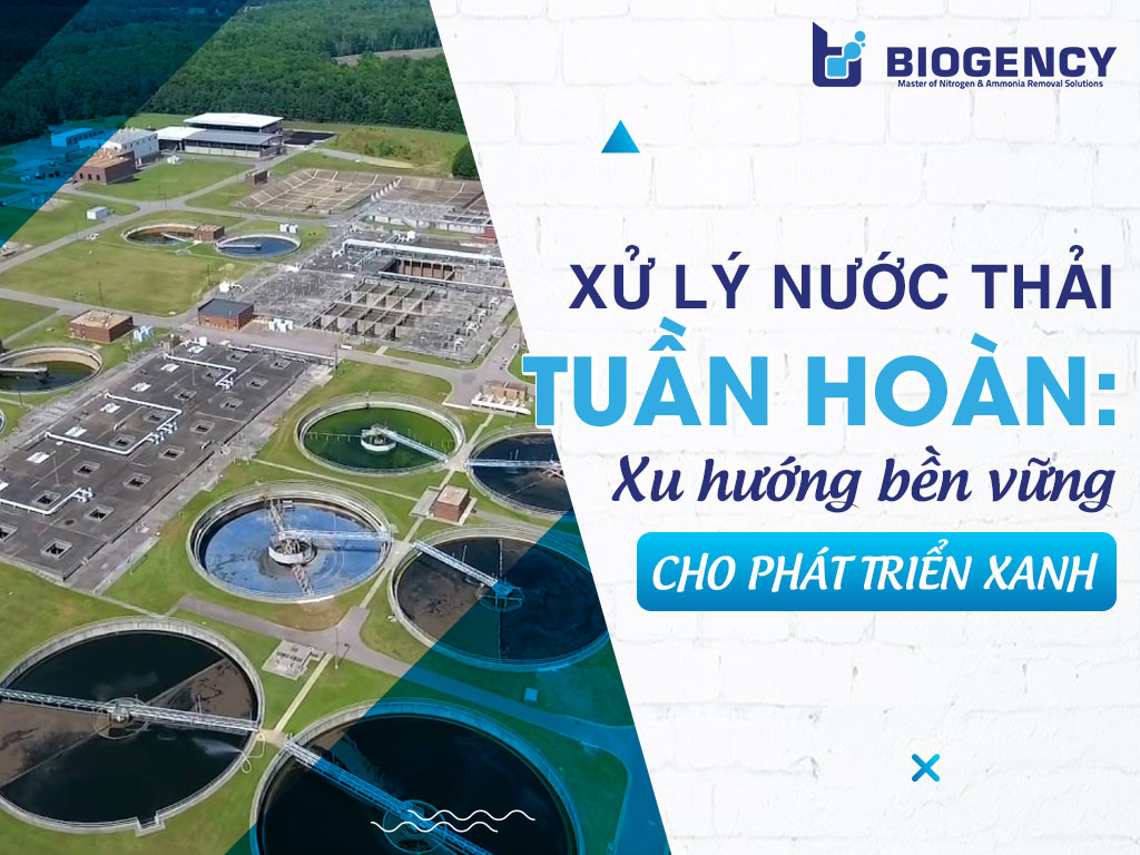 Xử lý nước thải tuần hoàn: Xu hướng bền vững cho phát triển xanh