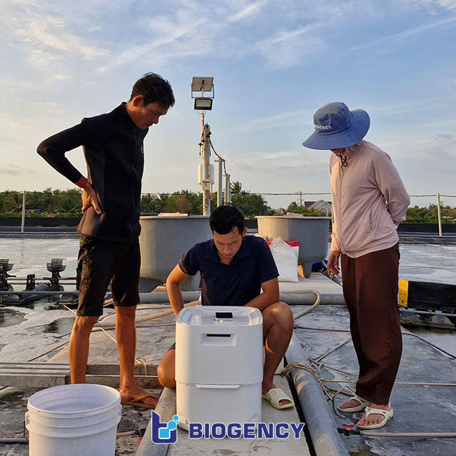 BIOGENCY nuôi thật để thấu hiểu trọn vẹn áp lực mà người nuôi tôm đang đối mặt mỗi ngày. BIOGENCY nuôi thật để thấu hiểu trọn vẹn áp lực mà người nuôi tôm đang đối mặt mỗi ngày.