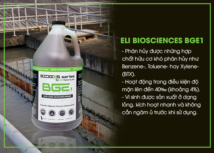 Giải Pháp Tăng Hiệu Suất Bể Kỵ Khí/UASB