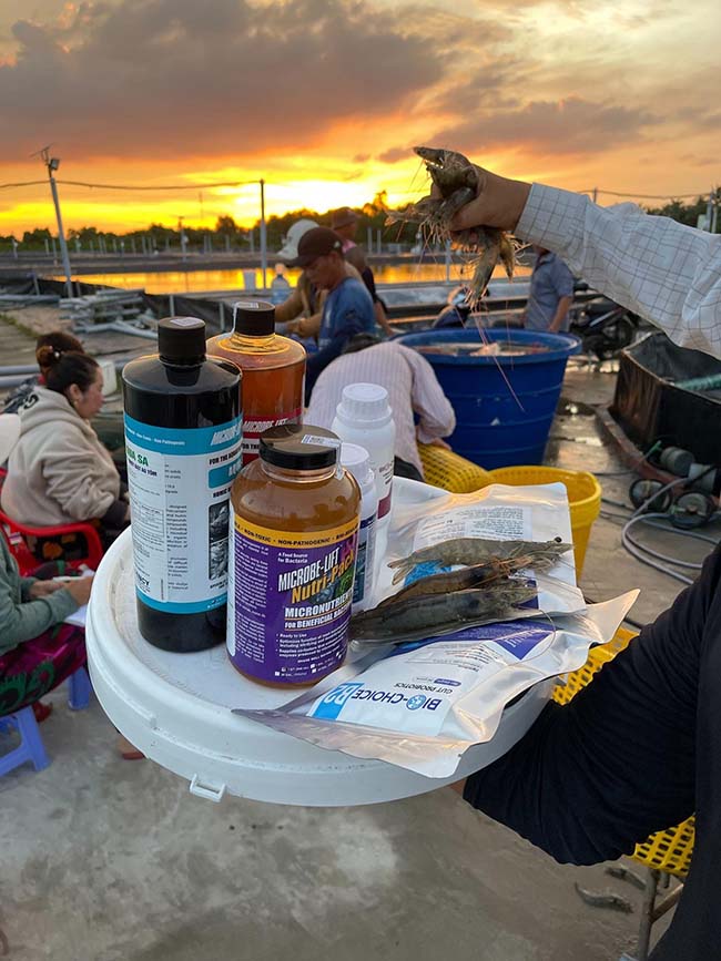 BIOGENCY luôn áp dụng giải pháp sinh học trong những vụ nuôi ao nhà. BIOGENCY luôn áp dụng giải pháp sinh học trong những vụ nuôi ao nhà.