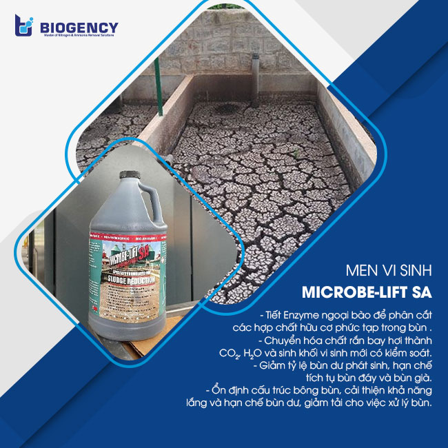 Giải pháp BIOGENCY sử dụng vi sinh Microbe-Lift SA giúp giảm chi phí xử lý bùn đáng kể. Giải pháp BIOGENCY sử dụng vi sinh Microbe-Lift SA giúp giảm chi phí xử lý bùn đáng kể.