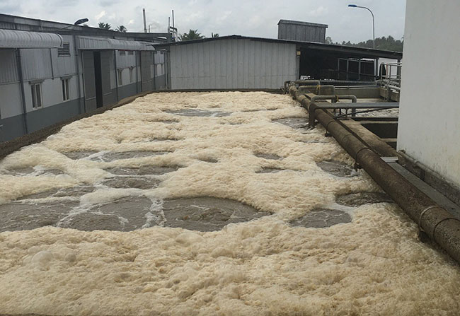 Hệ thống XLNT trung tâm thương mại có bọt trắng nổi nhiều là biểu hiện cho vi sinh chết. Hệ thống XLNT trung tâm thương mại có bọt trắng nổi nhiều là biểu hiện cho vi sinh chết.