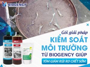 Gói giải pháp kiểm soát môi trường từ BIOGENCY giúp tôm giảm rủi ro chết sớm