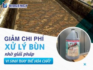 Giảm chi phí xử lý bùn nhờ giải pháp vi sinh thay thế hóa chất