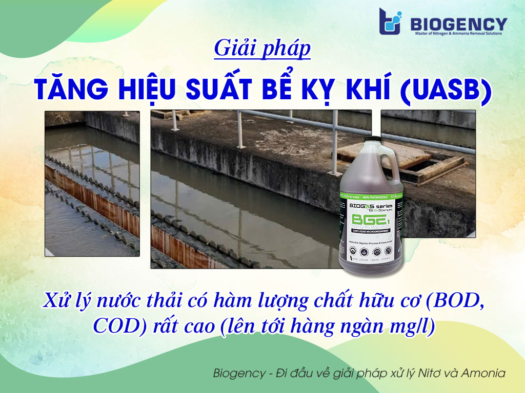 Giải Pháp Tăng Hiệu Suất Bể Kỵ Khí/UASB Giải Pháp Tăng Hiệu Suất Bể Kỵ Khí/UASB