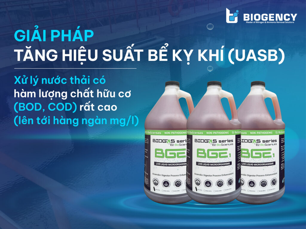 Giải Pháp Tăng Hiệu Suất Bể Kỵ Khí/UASB