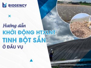 Hướng dẫn khởi động hệ thống xử lý nước thải tinh bột sắn ở đầu vụ