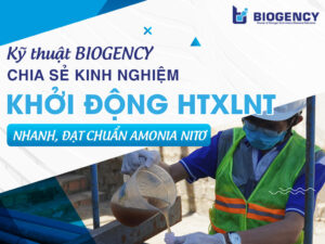 Kỹ thuật BIOGENCY chia sẻ kinh nghiệm khởi động hệ thống xử lý nước thải nhanh, đạt chuẩn Amonia Nitơ