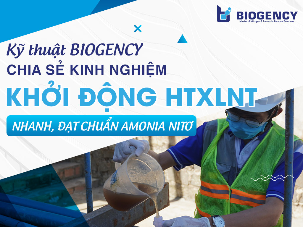 Kỹ thuật BIOGENCY chia sẻ kinh nghiệm khởi động hệ thống xử lý nước thải nhanh, đạt chuẩn Amonia Nitơ Kỹ thuật BIOGENCY chia sẻ kinh nghiệm khởi động hệ thống xử lý nước thải nhanh, đạt chuẩn Amonia Nitơ