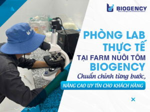 Phòng lab thực tế tại farm nuôi tôm BIOGENCY - Chuẩn chỉnh từng bước, nâng cao uy tín cho khách hàng