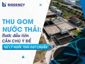 Thu gom nước thải: Bước đầu tiên cần chú ý để xử lý nước thải đạt chuẩn