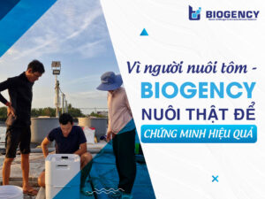 Vì người nuôi tôm - BIOGENCY nuôi thật để chứng minh hiệu quả