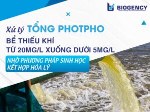 Xử lý Tổng Photpho bể thiếu khí từ 20mg/l xuống dưới 5mg/l nhờ phương pháp sinh học kết hợp hóa lý