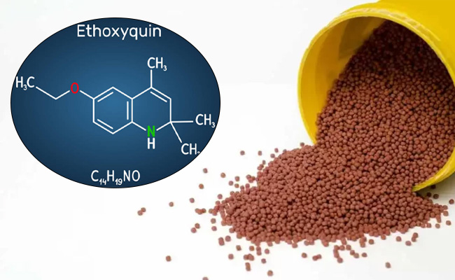 Ethoxyquin được sử dụng trong các loại thức ăn cho tôm. Ethoxyquin được sử dụng trong các loại thức ăn cho tôm.