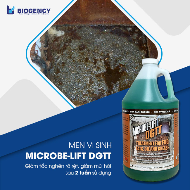 Sử dụng men vi sinh Microbe-Lift DGTT để xử lý dầu mỡ đường ống nhanh chóng, hiệu quả. Sử dụng men vi sinh Microbe-Lift DGTT để xử lý dầu mỡ đường ống nhanh chóng, hiệu quả.