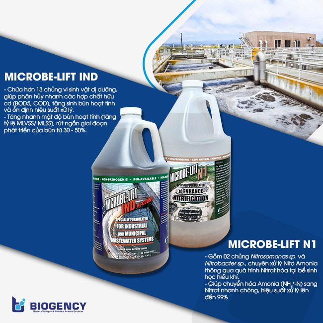 Men vi sinh Microbe-Lift IND và Microbe-Lift N1 được các nhà thầu thi công môi trường tin dùng cho giai đoạn vận hành khởi động bể sinh học Men vi sinh Microbe-Lift IND và Microbe-Lift N1 được các nhà thầu thi công môi trường tin dùng cho giai đoạn vận hành khởi động bể sinh học.