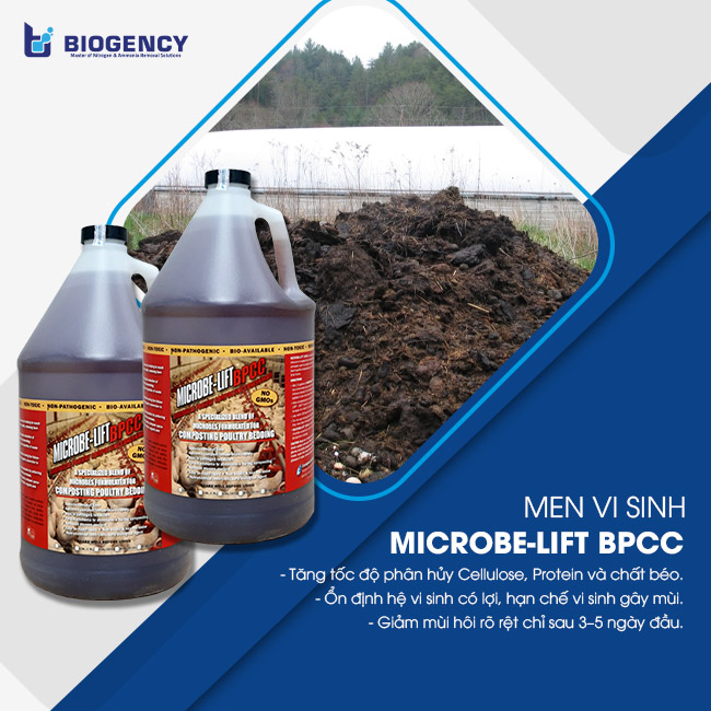 Men vi sinh Microbe-Lift BPCC chuyên phân hủy hữu cơ trong phân chuồng. Men vi sinh Microbe-Lift BPCC chuyên phân hủy hữu cơ trong phân chuồng.