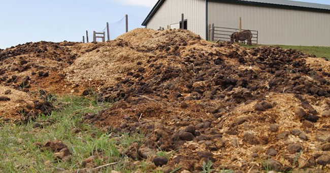 Các trang trại chăn nuôi ngày càng chịu áp lực chi phí lớn từ chất thải phát sinh. Các trang trại chăn nuôi ngày càng chịu áp lực chi phí lớn từ chất thải phát sinh.
