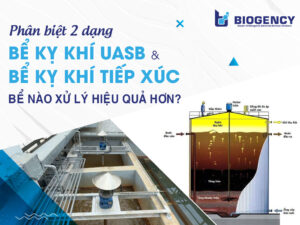 Phân biệt 2 dạng bể kỵ khí UASB và bể kỵ khí tiếp xúc. Bể nào xử lý hiệu quả hơn?
