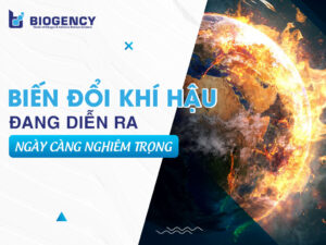 Biến đổi khí hậu đang diễn ra ngày càng nghiêm trọng