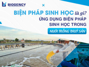 Biện pháp sinh học là gì? Ứng dụng biện pháp sinh học trong nuôi trồng thủy sản