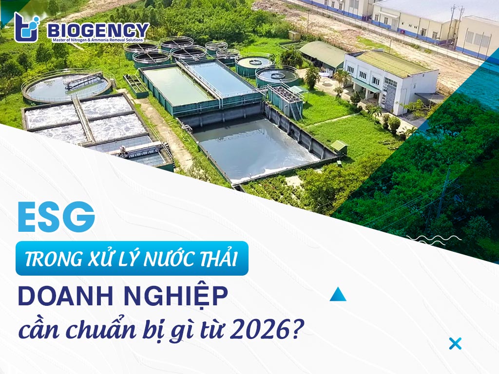 ESG trong xử lý nước thải: Doanh nghiệp cần chuẩn bị gì từ 2026?