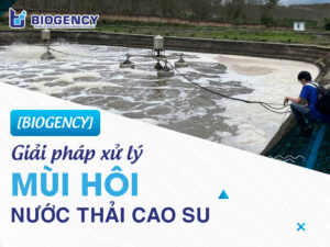 [BIOGENCY] Giải pháp xử lý mùi hôi nước thải cao su