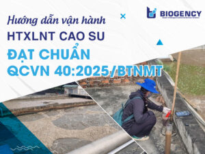 Hướng dẫn vận hành HTXLNT cao su đạt chuẩn QCVN 40:2025/BTNMT