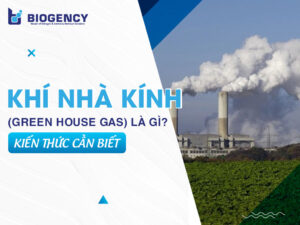 Khí nhà kính (Green House Gas) là gì? Kiến thức cần biết