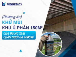 [Phương án] Khử mùi khu ủ phân 150m² của trang trại chăn nuôi gà 4000m²