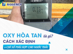 Oxy hòa tan là gì? Cách xác định và chỉ số phù hợp cho nước thải