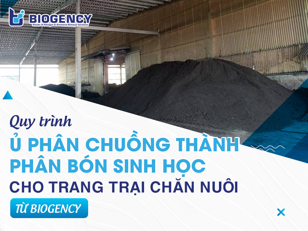 Quy trình ủ phân chuồng thành phân bón sinh học cho trang trại chăn nuôi từ BIOGENCY Quy trình ủ phân chuồng thành phân bón sinh học cho trang trại chăn nuôi từ BIOGENCY
